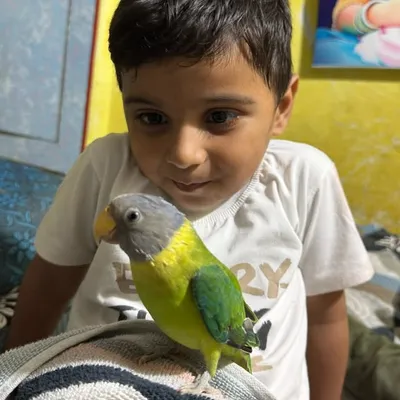 Gourav Chandravanshi profile