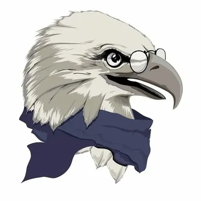 Govorun26.ru profile
