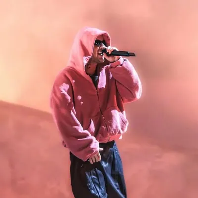 ApeX KiDD🚀 profile