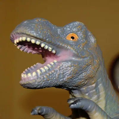 Greg S. profile