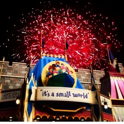 Disney World profile