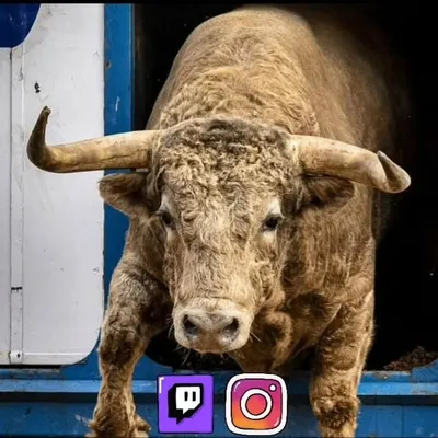๐๐๐ผ๐๐ฟ๐๐ ๐๐๐พ๐๐๐๐ผ๐ฟ๐๐๐๐ profile