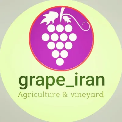 انگور ایران profile