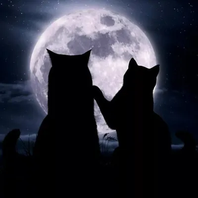 ๐๐ป๐ช๐ผ๐ผ๐ฎ&๐๐ช๐ป๐ฌ๐พ๐ผ profile