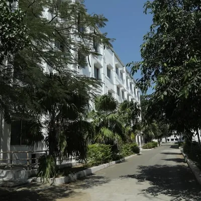 GRD SCIB profile