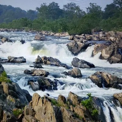 Great Falls, VA profile