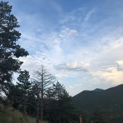 Nature Nation profile
