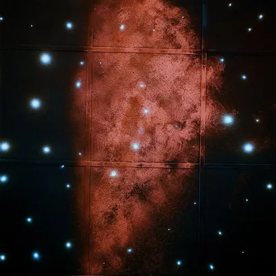 Gregory Halpern profile