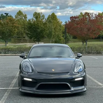 the_greyblack profile