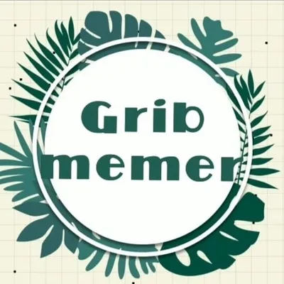 GribMemer profile