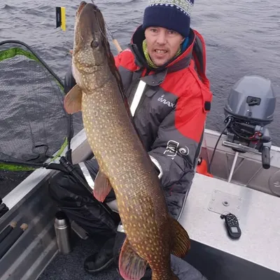 Peter Karlsson profile