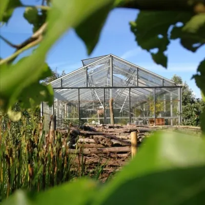 groe(n)tjes uit onze tuin profile