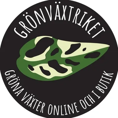 Grönväxtriket 🪴 Vi skickar växter till dig 💚📦 profile