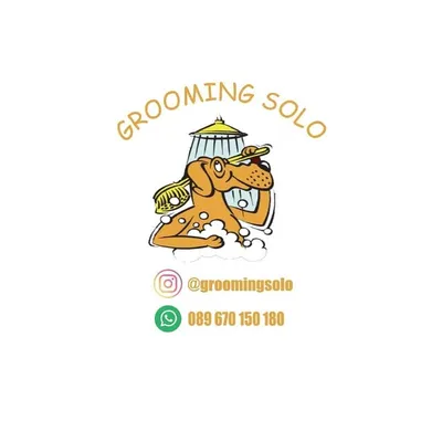 JASA GROOMING SOLO profile