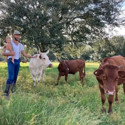 GROVE LADDER FARM profile