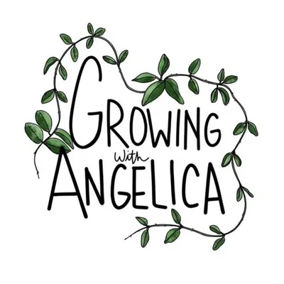 Angelica | Plant Lady🌱 profile