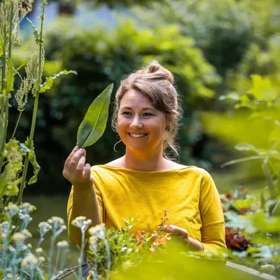 GRÜN.SEIN Dajana Krüger: Kräuterhandwerk, + wildes Wissen profile