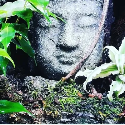 gsaquaterralife profile