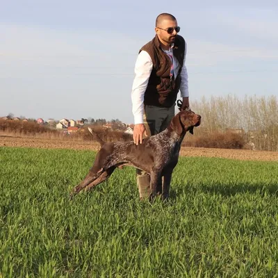 Ozren Badza profile