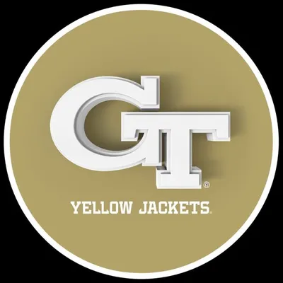 Georgia Tech Yellow Jackets profile