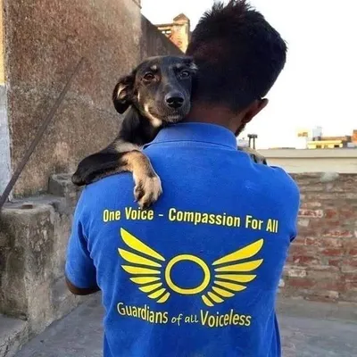 Guardians of ALL Voiceless profile