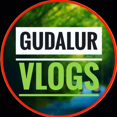 GUDALUR VLOGS profile