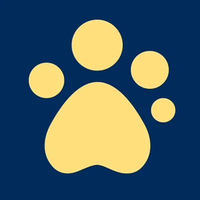 Guide Dogs profile