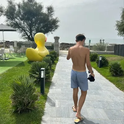 guidicelli0 profile