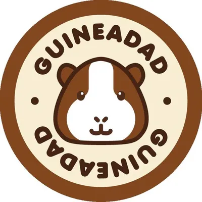 GuineaDad | Patented Guinea Pig Care profile