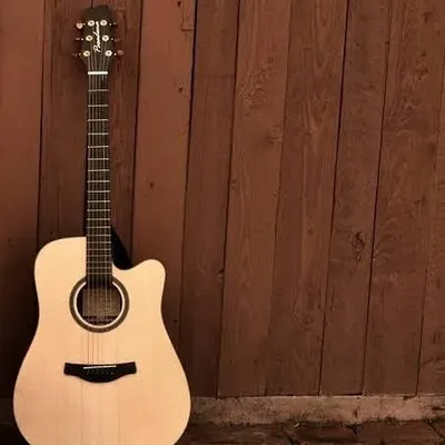 Singers,Guitarist,Musicians profile