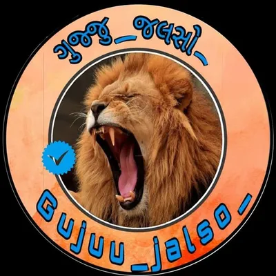 💙gujju_Jalso💙Mehsana (મેહોણા નો) profile