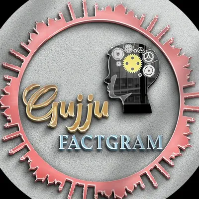 Gujrati Knowledge 💙 profile