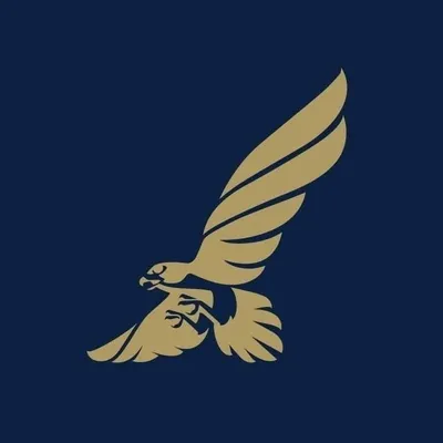 Gulf Air profile