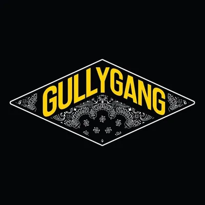 GULLY GANG