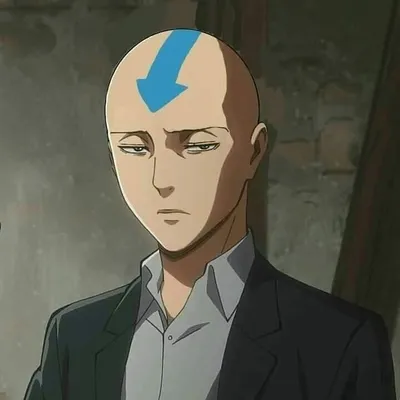 ch-ACHI profile