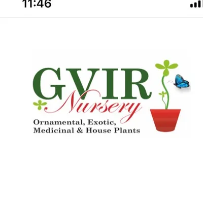 GVIR Nursery profile