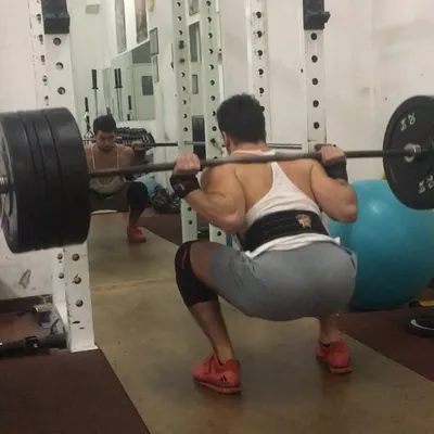 Gym Scientist profile