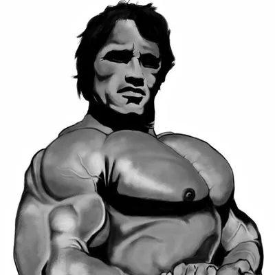 Gym Meme Daily profile