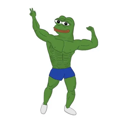 Gym memes humor for everyone profile