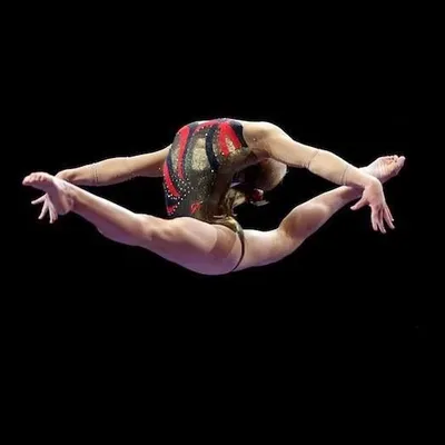 Gymnastics/Dance/Cheer/Fitness profile