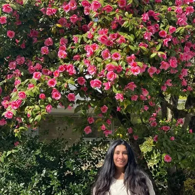 Anu Herale profile