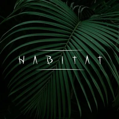 H Aฬ B I T A T ๐ profile