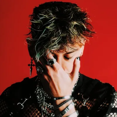 HADEE. profile