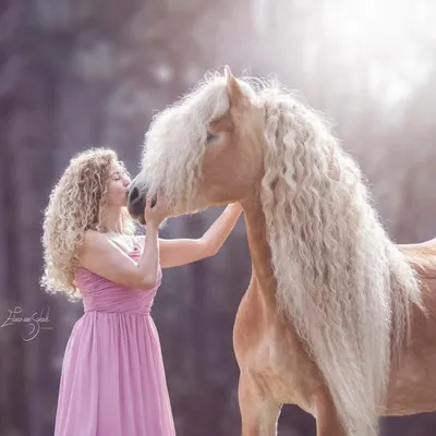 Naomi Beckers & Haflinger Storm profile