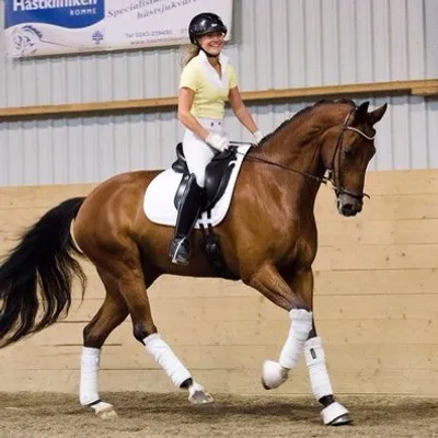 Elin Isaksson fd Haglöf Stenberg profile