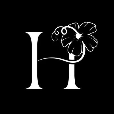 Curly Hair Mentor & Stylist profile