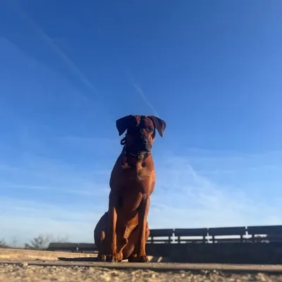 Hajj Turner profile