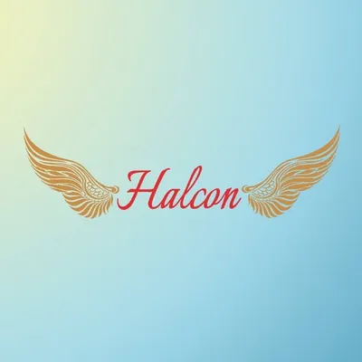 South Indian Wedding profile