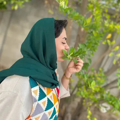 halim_taheri profile