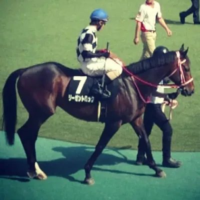 横浜太郎 profile